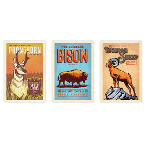 Set of three unframed vintage-style Western animal art prints featuring a pronghorn, bison, and bighorn sheep