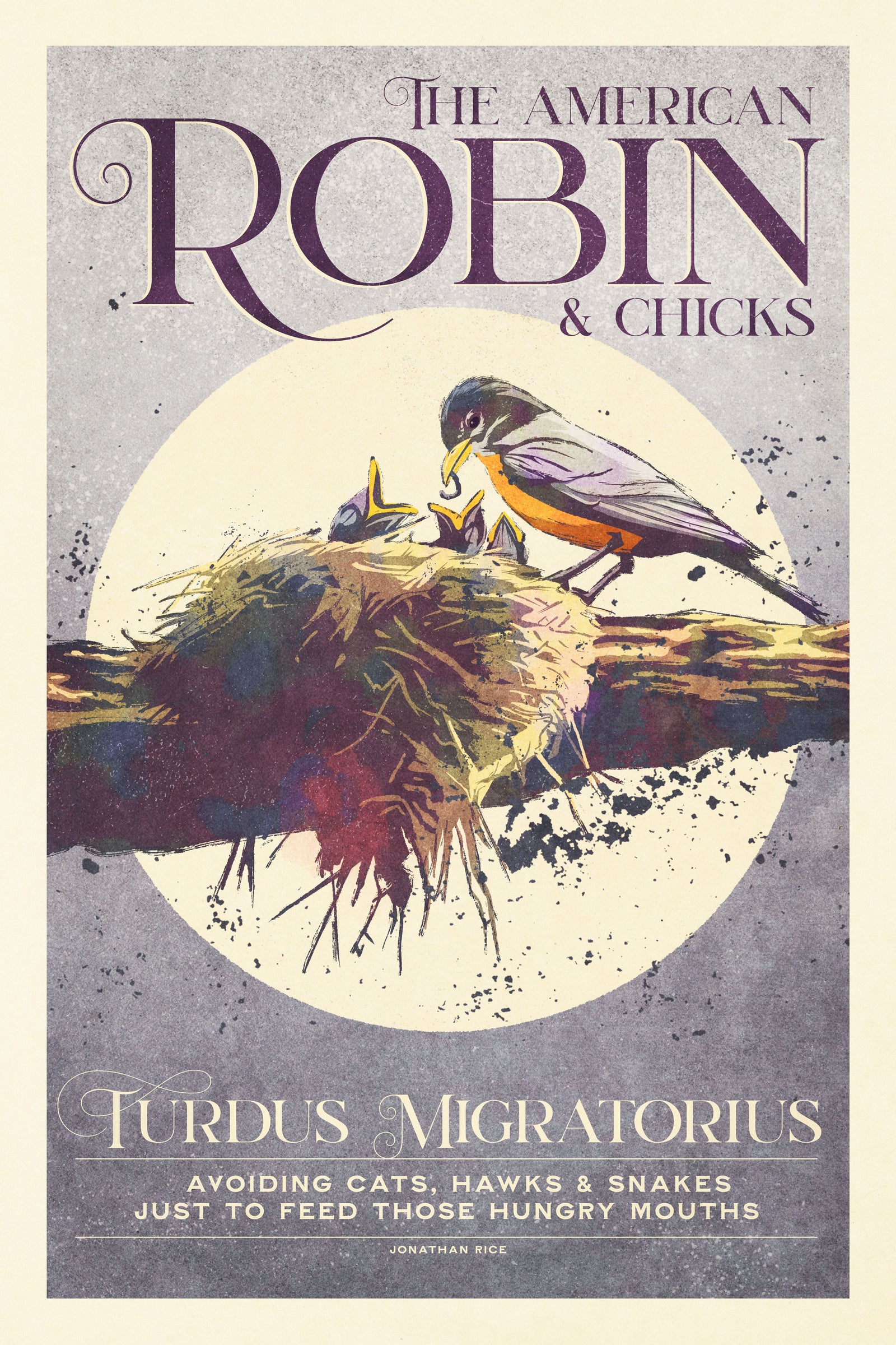 Retro styled humorous American Robin and Chicks art print inspired by 1950s bird posters.. It features a Robin feeding its’ chicks in a nest with the words “The American Robin & Chicks” above and the words “Turdus Migratorius. Avoiding  cats, hawks and snakes just to feed those hungry mouths” below the main image. Rich, muted colors and gritty texture with elegant typography.