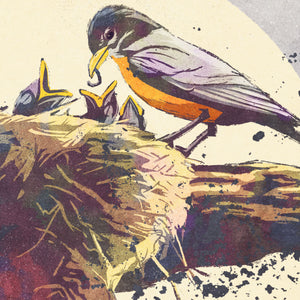 Detail of Retro styled humorous American Robin and Chicks art print inspired by 1950s bird posters.. It features a Robin feeding its’ chicks in a nest with the words “The American Robin & Chicks” above and the words “Turdus Migratorius. Avoiding  cats, hawks and snakes just to feed those hungry mouths” below the main image. Rich, muted colors and gritty texture with elegant typography.