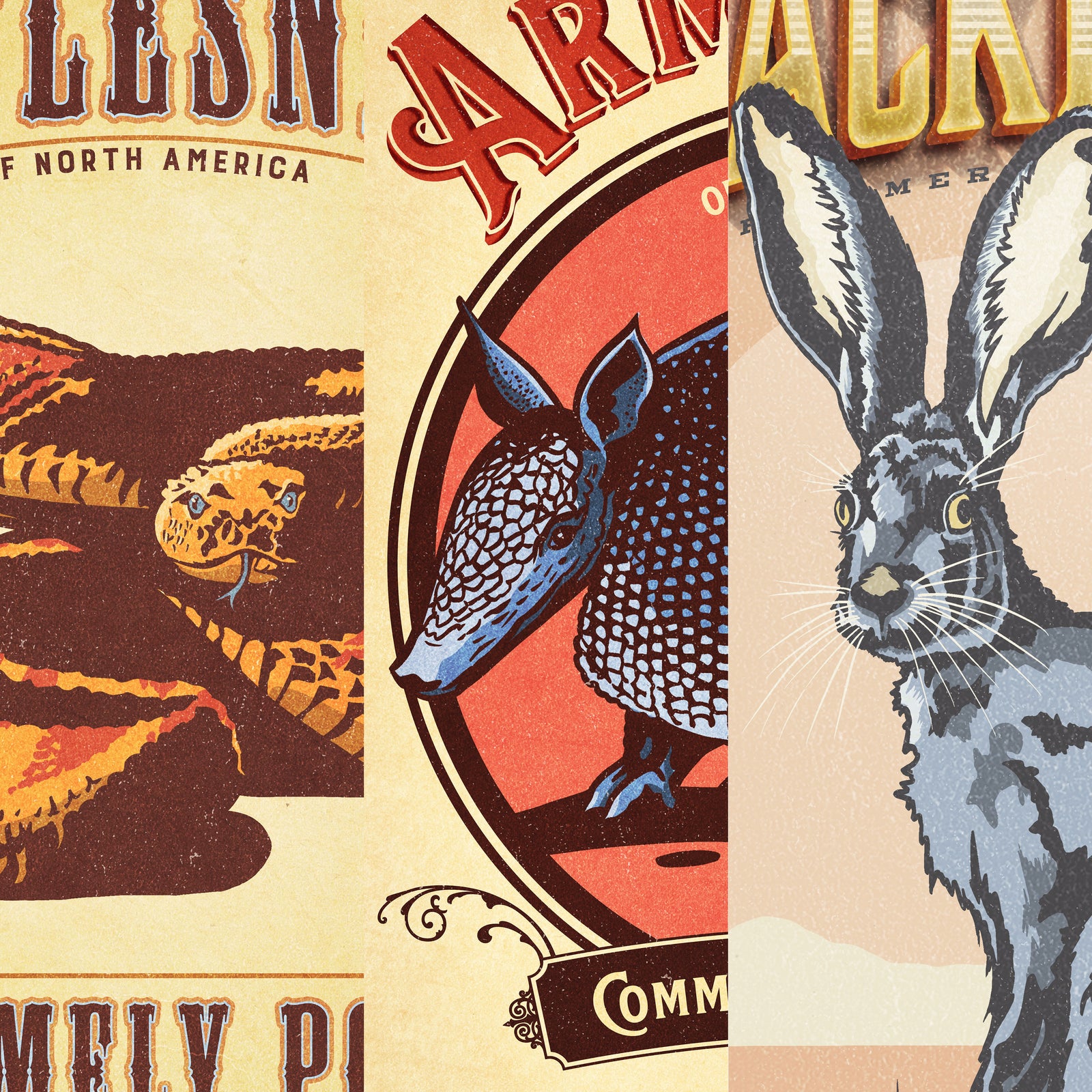 Three framed vintage animal posters displayed above a sofa in a living room interior