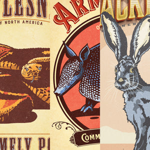 Set of three rattlesnake, armadillo and jackrabbit poster detail close-ups