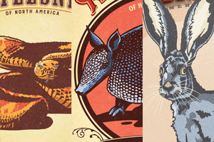 Set of three rattlesnake, armadillo and jackrabbit poster detail close-ups