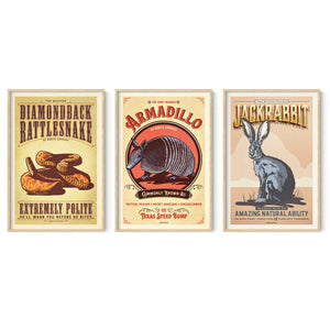 Gallery wall set of three framed animal posters in natural oak frames featuring a rattlesnake, armadillo, and jackrabbit