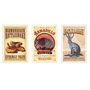 Set of three unframed vintage-style animal posters featuring a diamondback rattlesnake, armadillo, and jackrabbit illustrated in warm Western colors