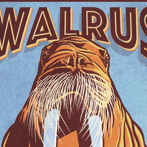 Close-up detail of the Walrus poster showing expressive whiskers, long tusks, layered texture, and vintage graphic illustration.