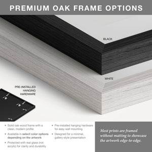 Sopwith Pup aviation poster premium frame color options and details