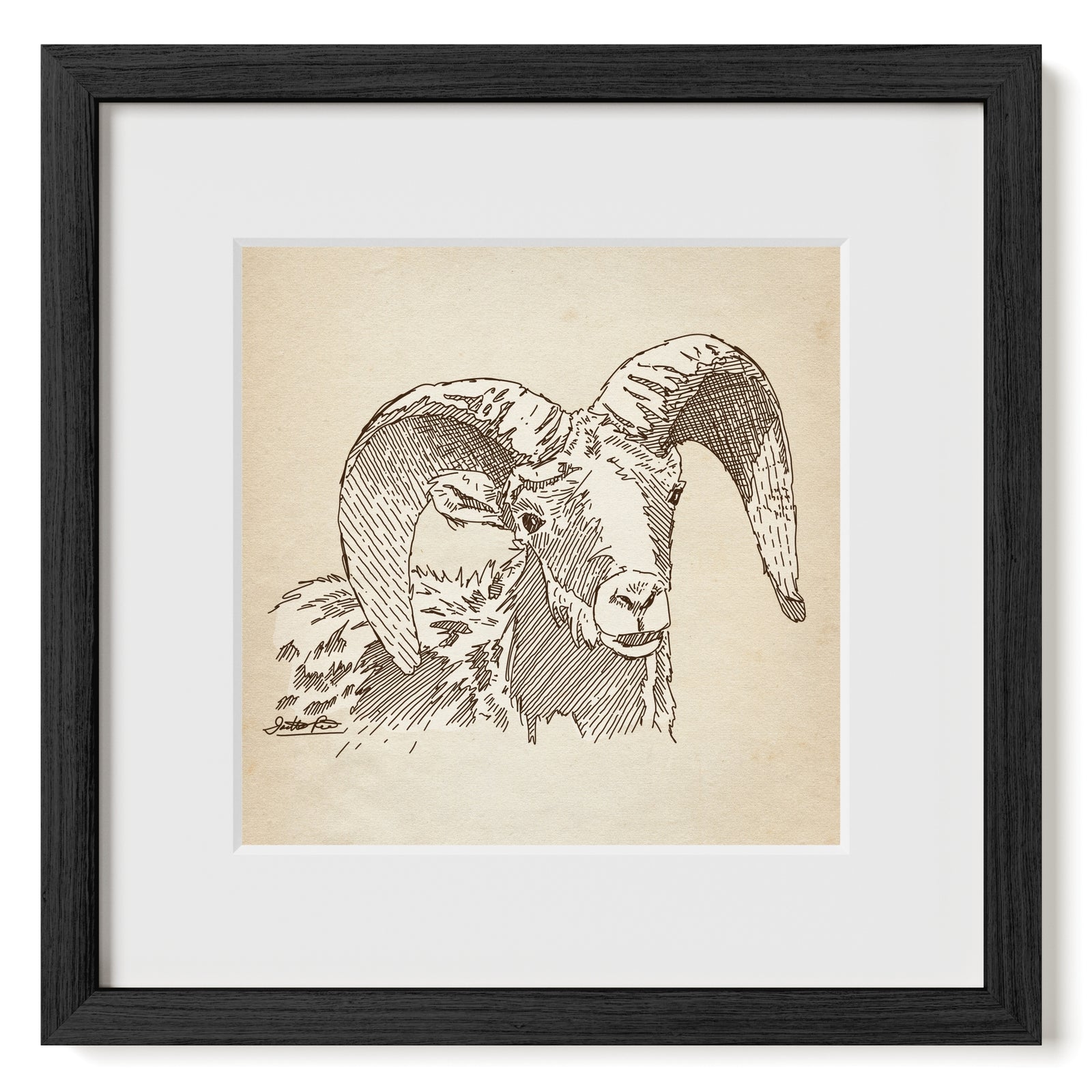 Framed art print featuring a sepia sketch of a ram with large curved horns, set within a white mat and a black frame.
