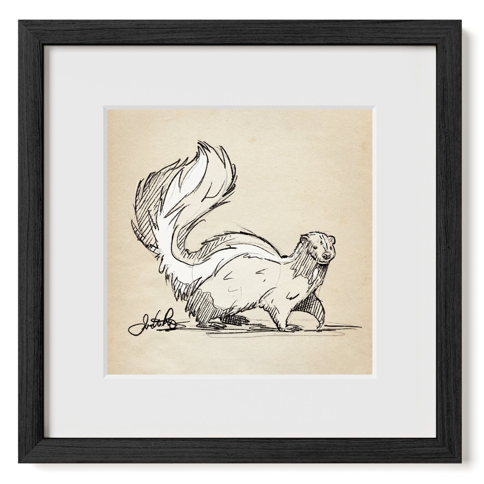 Skunk sketch in black frame with matte