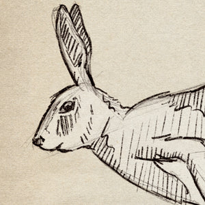 Detail of Running Rabbit wildlife sketch