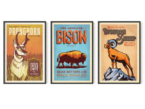 Three framed vintage-style Western animal posters featuring a pronghorn, bison, and bighorn sheep displayed side by side in black frames