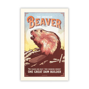 American Beaver poster by Jonathan Rice unframed