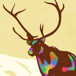 Close-up detail of the Denali poster highlighting the caribou silhouette, colorful northern-inspired accents, and textured artwork.