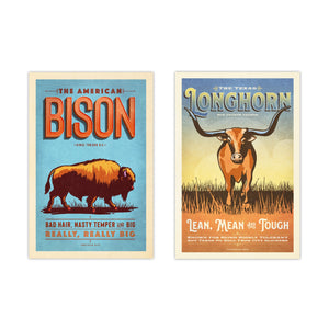 Unframed Bison and Longhorn poster set displayed as coordinated western wildlife artwork