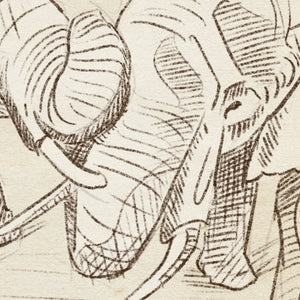 Detail of Two Elephants pencil drawing showing trunks and tusks
