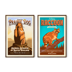 Prairie dog and raccoon wildlife wall art set displayed in walnut frames