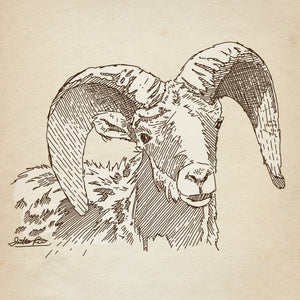 A monochrome line drawing of a ram with large curved horns, rendered in black ink-style hatching on a warm beige textured background.