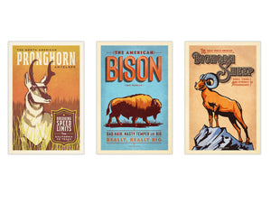 Set of three unframed vintage-style Western animal art prints featuring a pronghorn, bison, and bighorn sheep