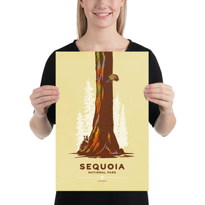 Modern, minimalist giclée art print for Modern, minimalist giclée art print for Sequoia National Park in California. This simple and classy poster depicts a giant Sequoia tree with a black bear attempting to climb it. It has the words “Sequoia National Park, California” at the bottom. The print’s muted overall background color allows the bold and vibrant colors of the main image to pop.  Print Size 12" x 18"