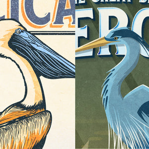 Detail view of Brown Pelican and Blue Heron vintage-inspired bird illustrations