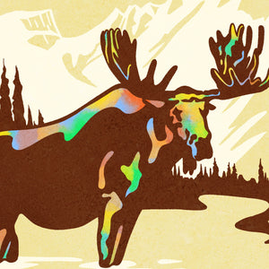 Rocky Mountain National Park vintage park poster detail close-up