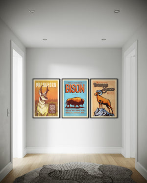 Three framed Western animal posters featuring pronghorn, bison, and bighorn sheep displayed in a minimalist hallway
