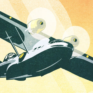 Catalina vintage airplane poster detail close-up