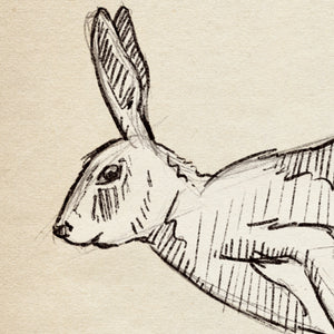 Detail of Running Rabbit wildlife sketch