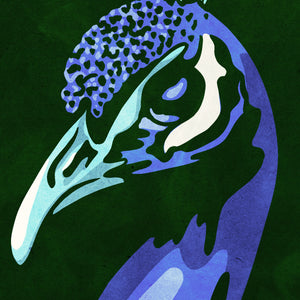 Detail of Bold graphic giclée art print of an Asian Peacock. Print shows an Asian Peacock blending into a dark green background and overlapping the word “Asia”.