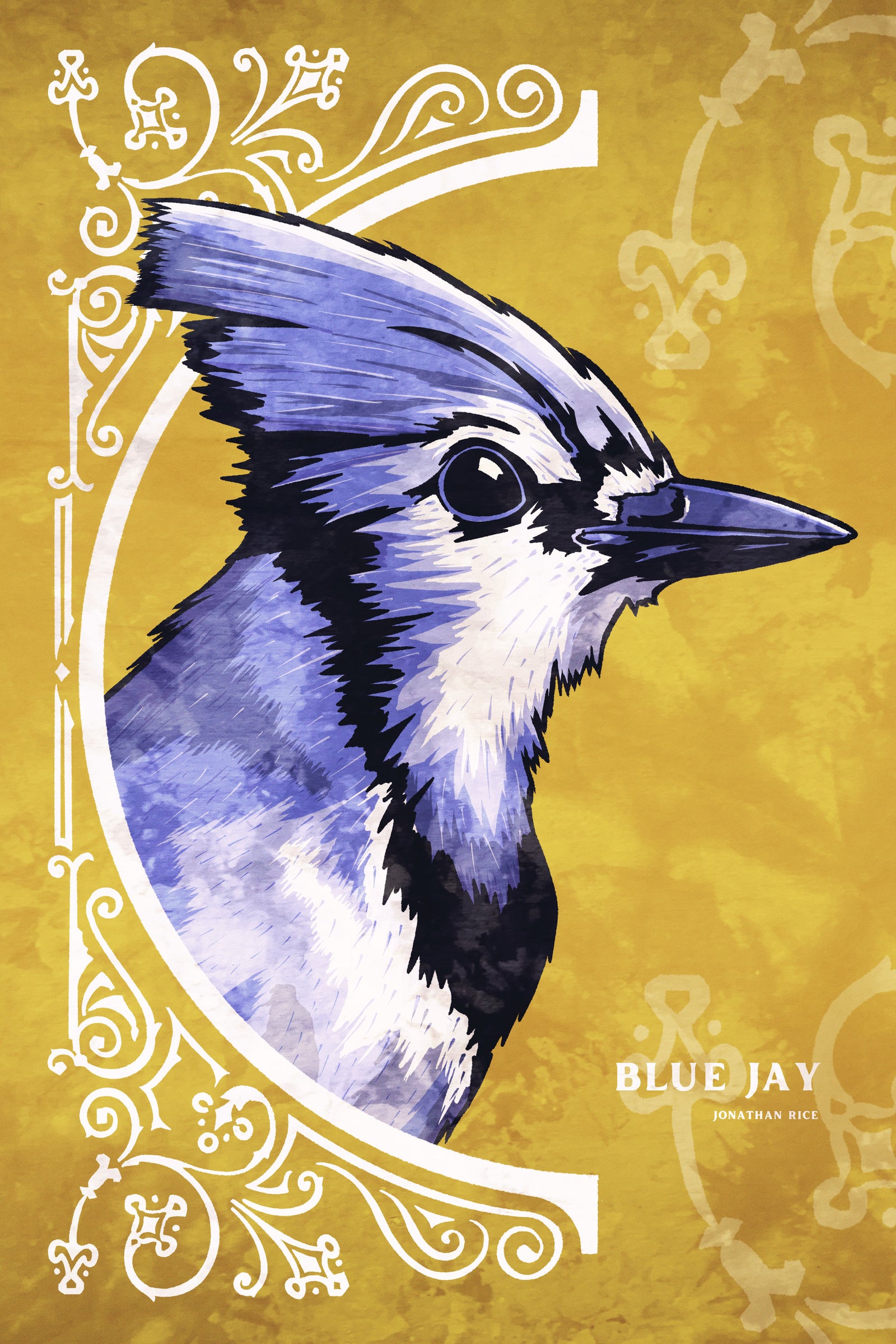 Bold graphic giclée art print of a Blue Jay. Print is a portrait of a Blue Jay next to a beautiful graphic ornament on a golden yellow background with the words “Blue Jay” below.
