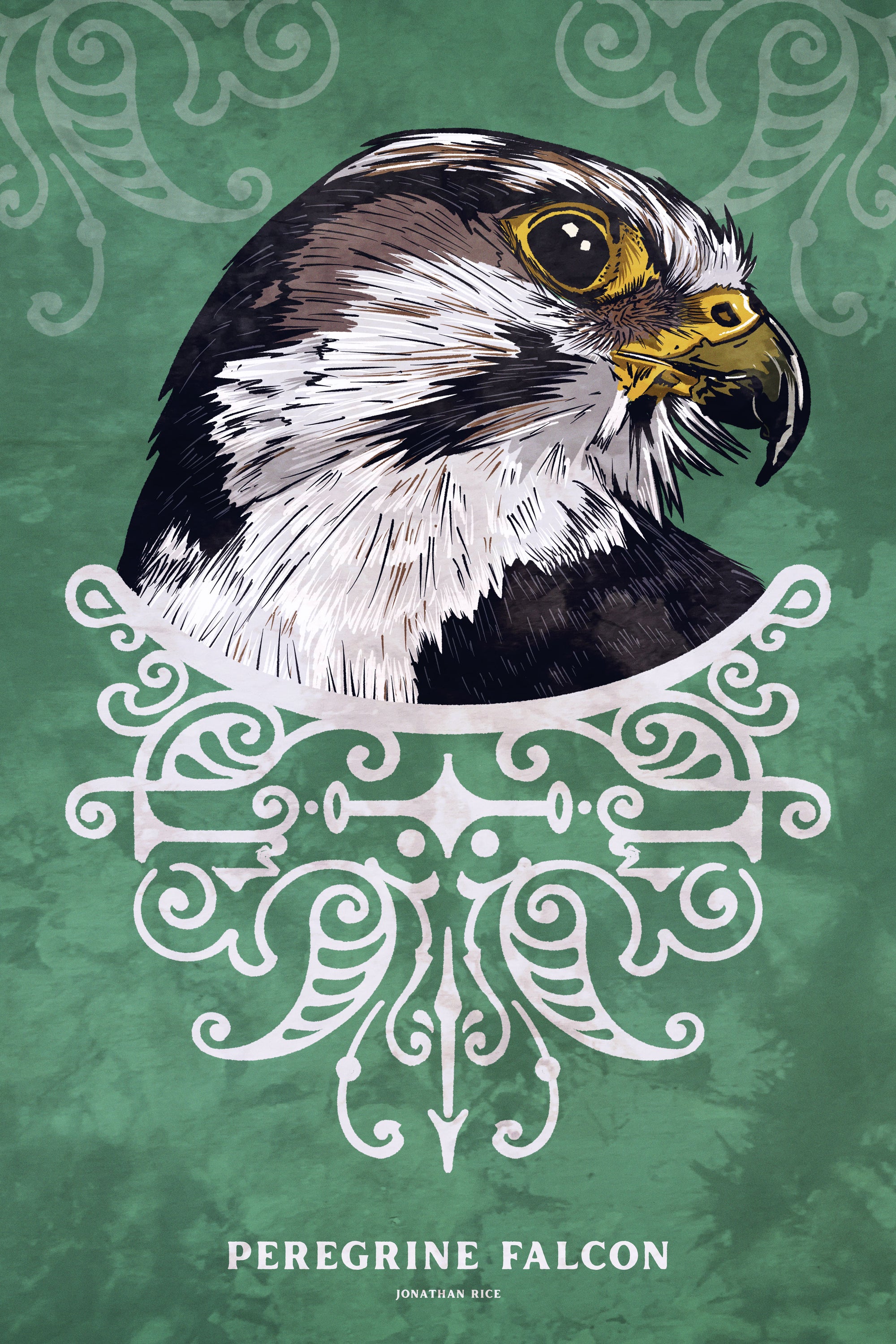 Bold graphic giclée art print of a Peregrine Falcon. Print is a portrait of a Peregrine Falcon adorning the top of a beautiful graphic ornament on a green background with the words “Peregrine Falcon” below.