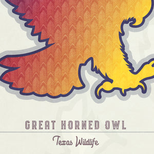 Great Horned Owl - Texas Wildlife