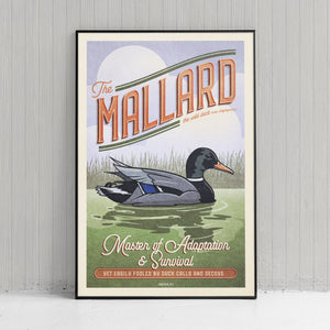 Vintage style humorous Mallard Duck art print of duck in water with reeds and a big sky in the background. The poster has ornate typography inspired by old travel, national parks and wildlife posters.