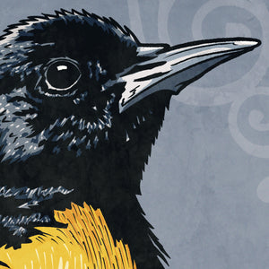 Detail of Bold graphic giclée art print of a Baltimore Oriole. Print is a portrait of a Baltimore Oriole adorning the top of a beautiful graphic ornament on a Blue Green background with the words “Baltimore Oriole” below.