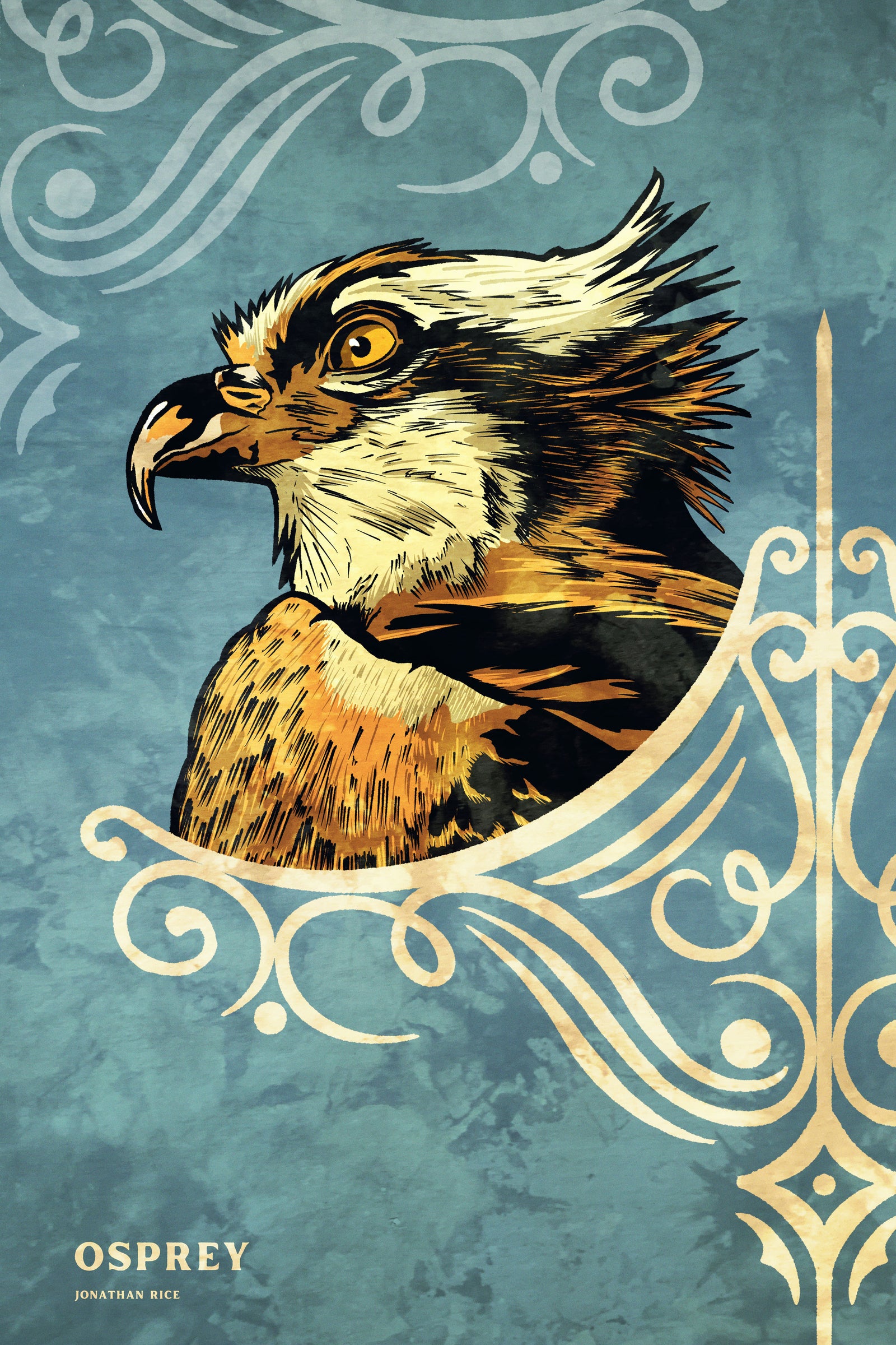 Bold graphic giclée art print of an Osprey. Print is a portrait of an Osprey adorning the top of a beautiful graphic ornament on a blue green background with the word “Osprey” below.