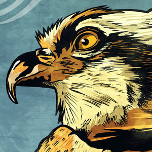 Detail of Bold graphic giclée art print of an Osprey. Print is a portrait of an Osprey adorning the top of a beautiful graphic ornament on a blue green background with the word “Osprey” below.