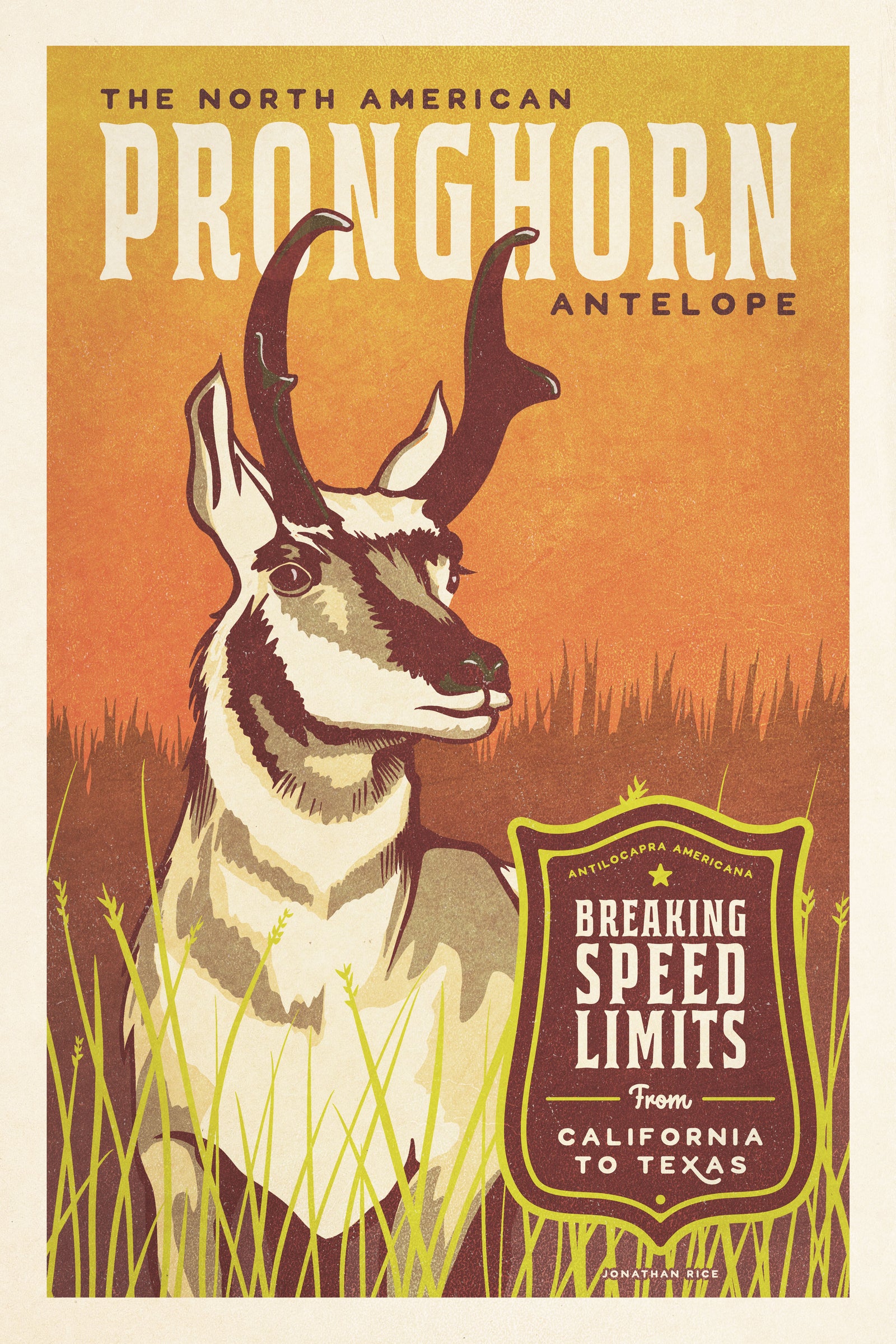 Vintage style humorous Pronghorn Antelope art print with ornate typography inspired by old travel, national parks and wildlife posters