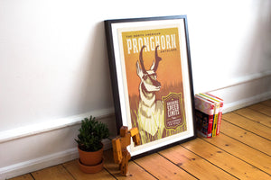 Vintage style humorous Pronghorn Antelope art print with ornate typography inspired by old travel, national parks and wildlife posters