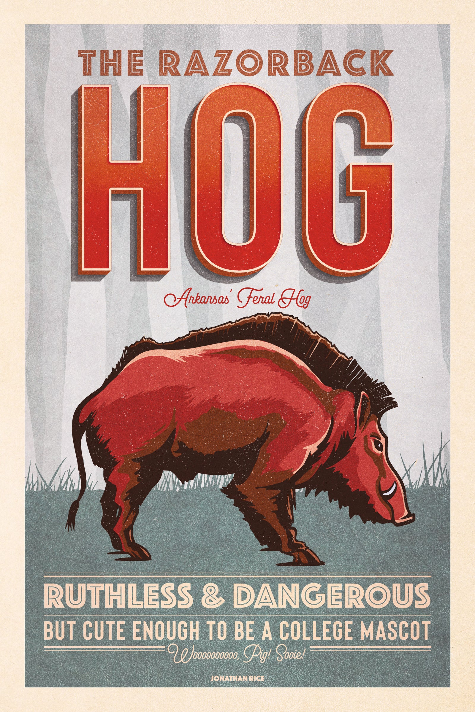 Vintage style humorous  Razorback Hog art print poster with type inspired by old travel, national parks and wildlife posters.