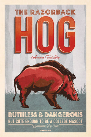 Vintage style humorous  Razorback Hog art print poster with type inspired by old travel, national parks and wildlife posters.