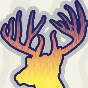 Whitetail Deer - Texas Wildlife Poster