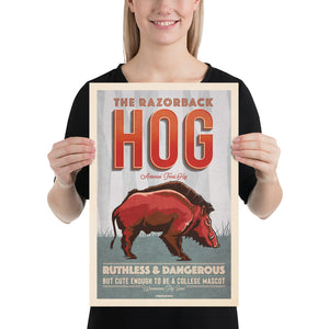 Vintage style humorous  Razorback Hog art print poster with type inspired by old travel, national parks and wildlife posters.