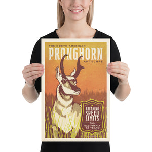 Vintage style humorous Pronghorn Antelope art print with ornate typography inspired by old travel, national parks and wildlife posters
