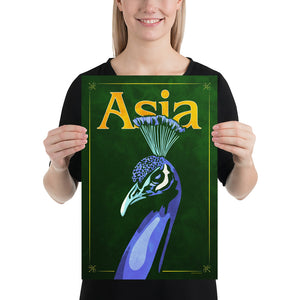 Bold graphic giclée art print of an Asian Peacock. Print shows an Asian Peacock blending into a dark green background and overlapping the word “Asia”. Size 12" x 18"