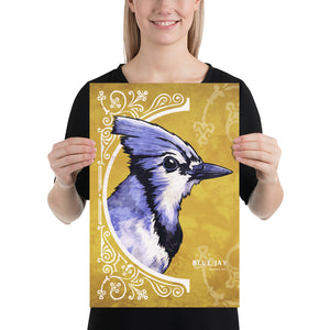 Bold graphic giclée art print of a Blue Jay. Print is a portrait of a Blue Jay next to a beautiful graphic ornament on a golden yellow background with the words “Blue Jay” below. Size 12" x 18"