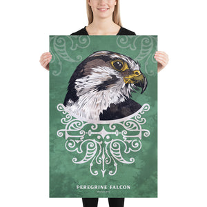 Bold graphic giclée art print of a Peregrine Falcon. Print is a portrait of a Peregrine Falcon adorning the top of a beautiful graphic ornament on a green background with the words “Peregrine Falcon” below. Size 24" x 36"