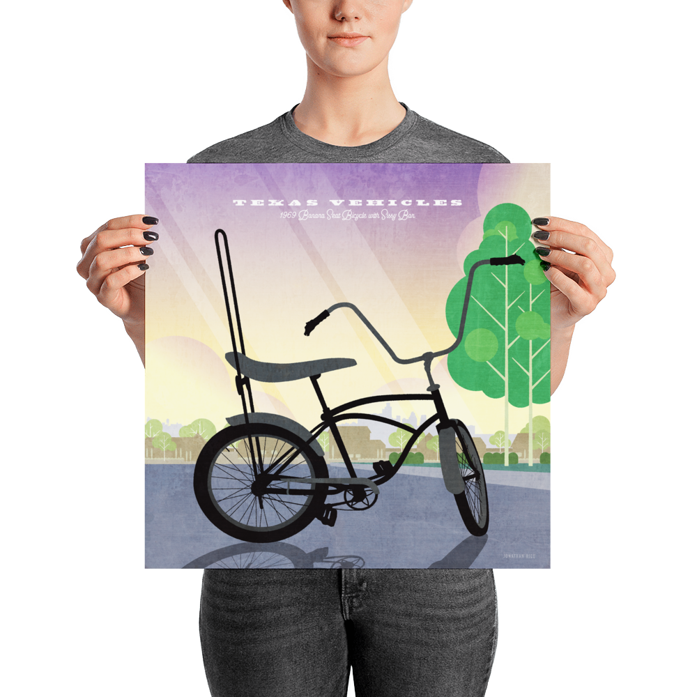 Bicycle sissy bar deals